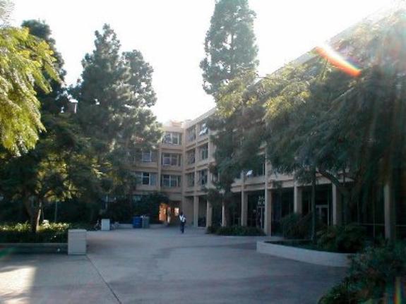 McKay Quad Area